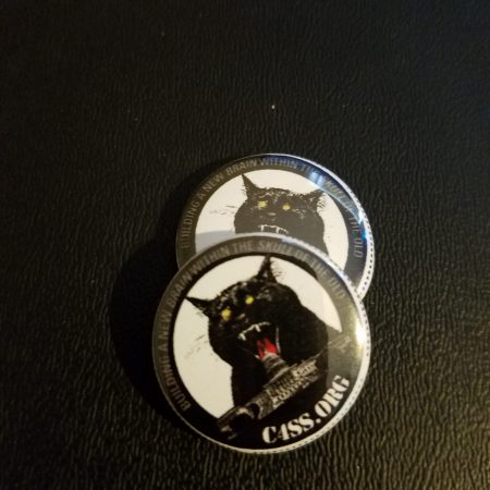 Lazer Cat